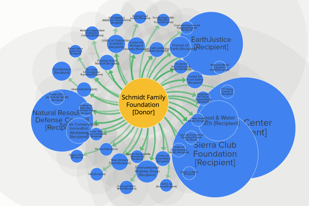 Schmidt Family Foundation - Revised Outlined