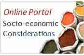 Socio-Economics Portal
