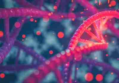 CRISPR-Based Tool Expands DNA-Hydrogel Versatility