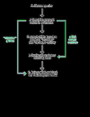 grna design process diagram