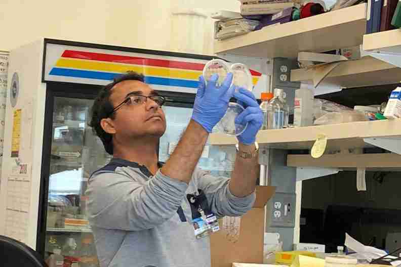 Anirban Roy in the laboratory