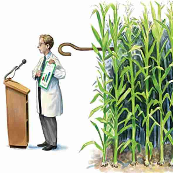 Do Seed Companies Control GM Crop Research?