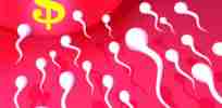 secrets of the sperm bank