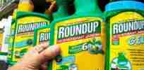Fear of 'mighty multinationals' could spur European glyphosate bans despite evidence, EU food safety official says