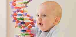 Viewpoint: Gene editing in humans should leave 'no room for suspicion' of 'closed door' research