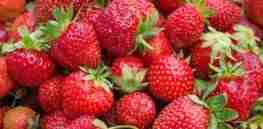 Strawberry Inflammation