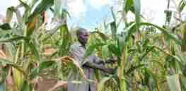 UNDPUganda SLM David Muhoozi Lyantode farmer