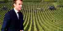Emmanuel Macron agricultural policy french farmers agricultural fair eu brexit