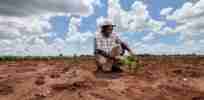agriculture afrique climat e x