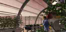 potatoes in space greenhouse