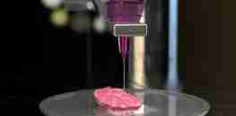 d bioprinting of organs ella maru studio science photo library