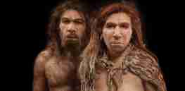 neanderthal hero l