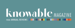 knowable logo x