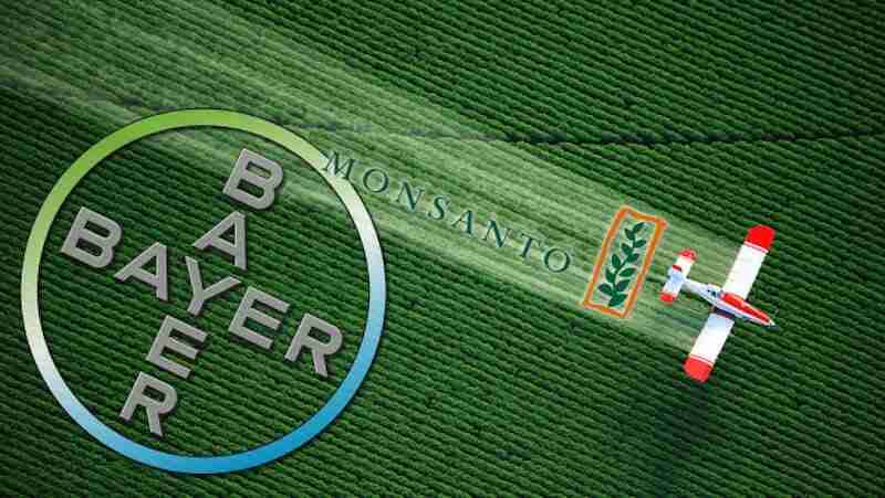 Monsanto Bayer x